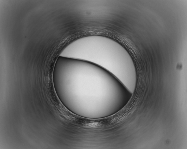 X0000101200312200806270836
