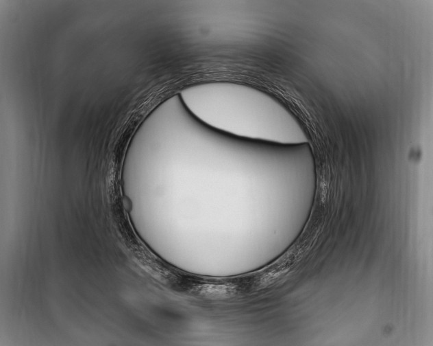 X0000101200314200806270836