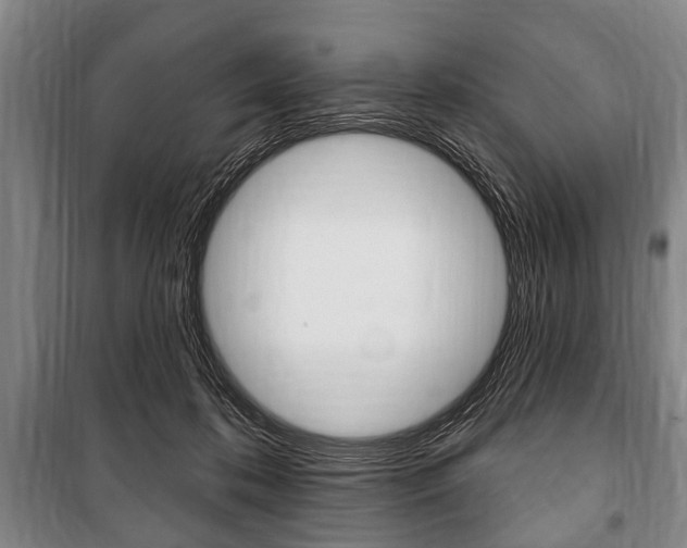 X0000101200316200806270836