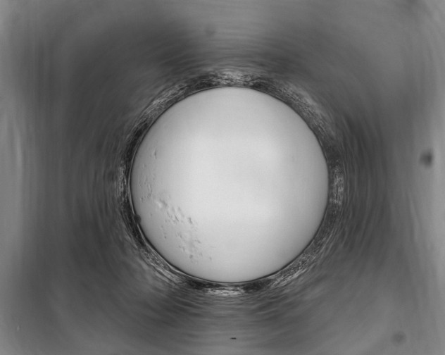 X0000101200318200806270836