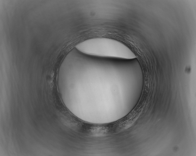 X0000101200319200806270836