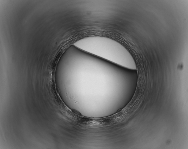 X0000101200320200806270836