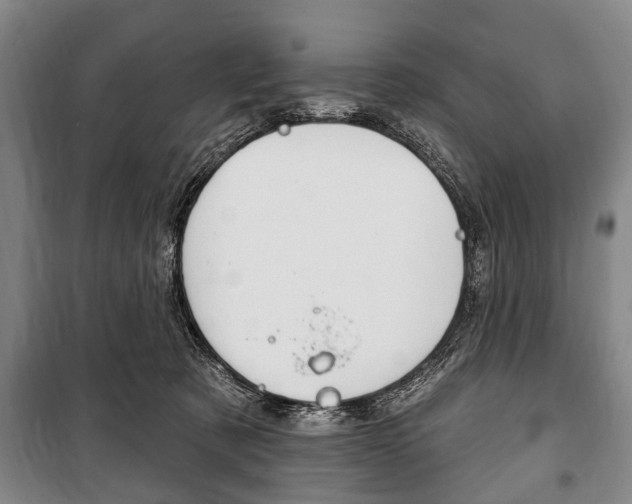 X0000101200321200806270836