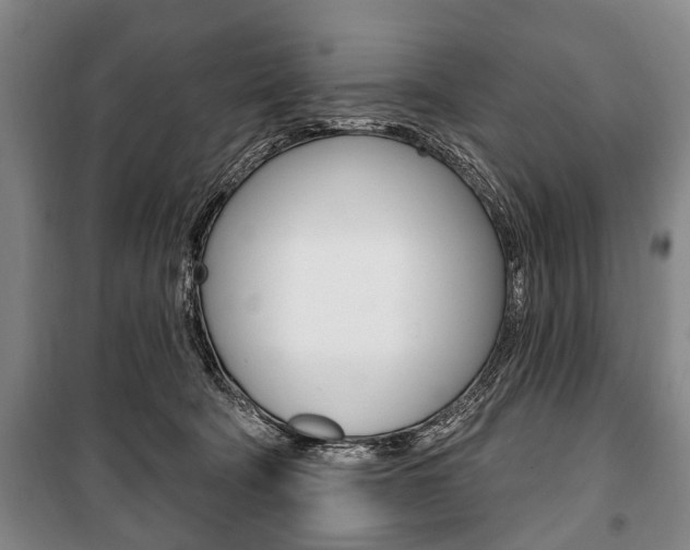 X0000101200322200806270836