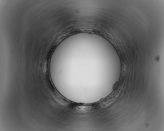 X0000101200323200806270836
