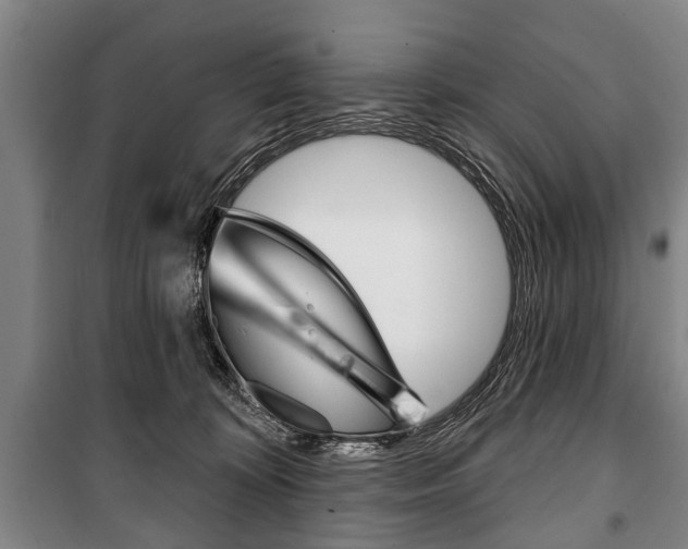 X0000101200324200806270836