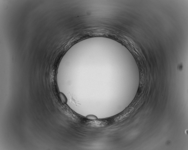 X0000101200326200806270835