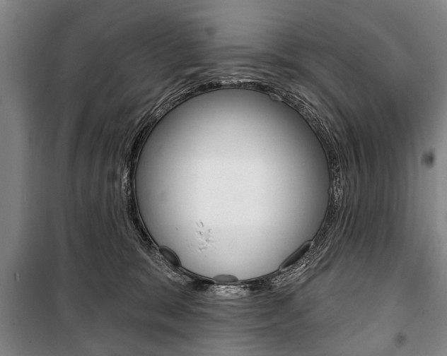 X0000101200327200806270835
