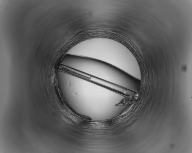 X0000101200328200806270835