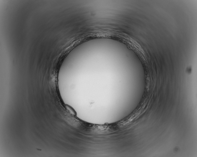 X0000101200329200806270835