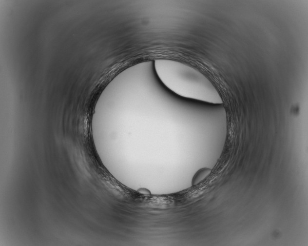 X0000101200330200806270835