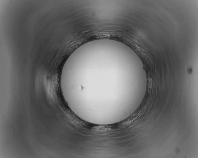 X0000101200331200806270835