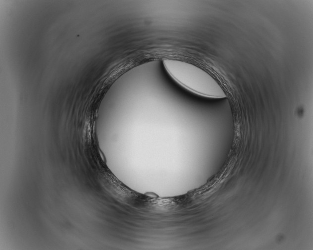 X0000101200333200806270835