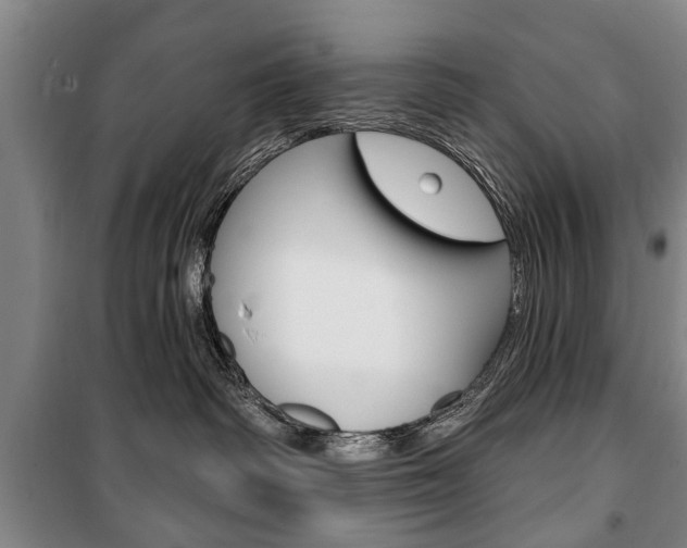 X0000101200334200806270835