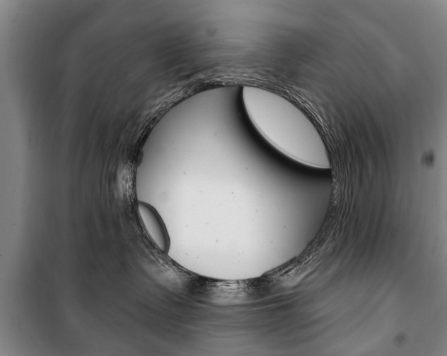 X0000101200335200806270835