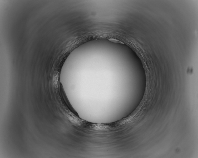 X0000101200336200806270835