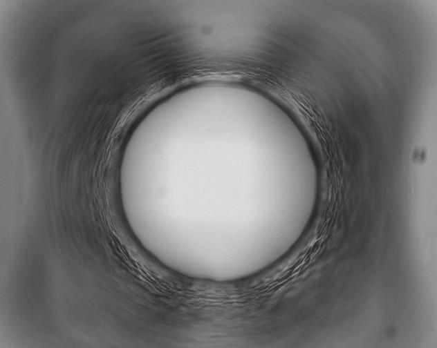 X0000101200337200806270835
