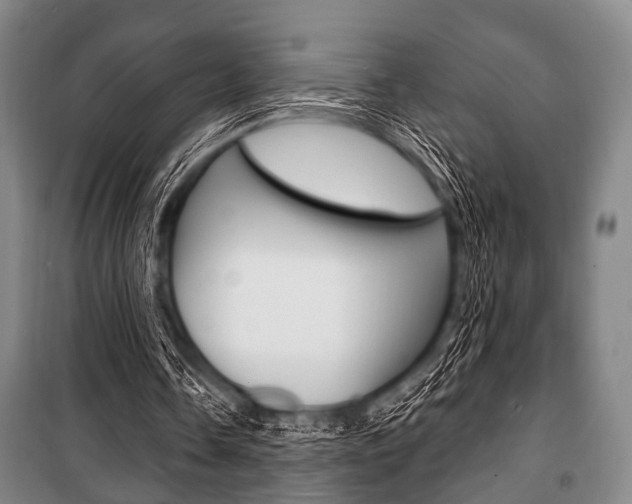 X0000101200338200806270835
