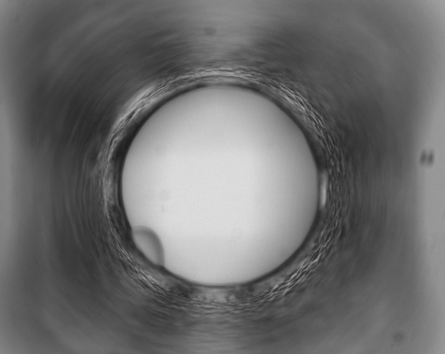 X0000101200339200806270835