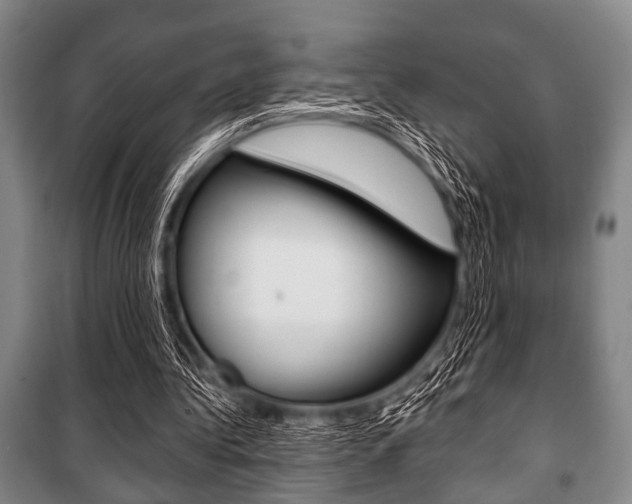 X0000101200340200806270835
