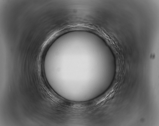 X0000101200341200806270835