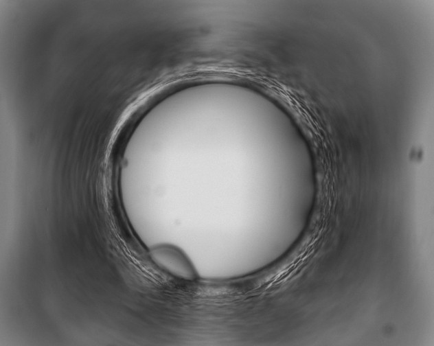 X0000101200342200806270835