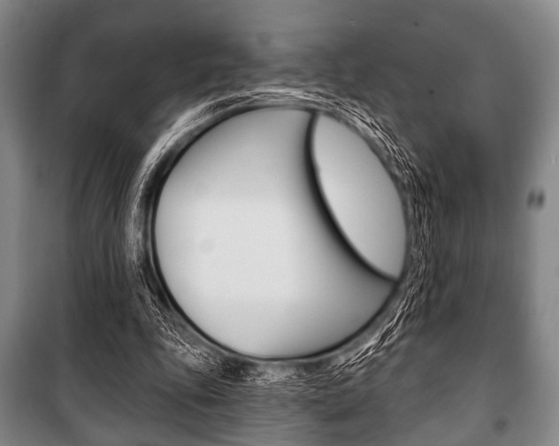 X0000101200343200806270835