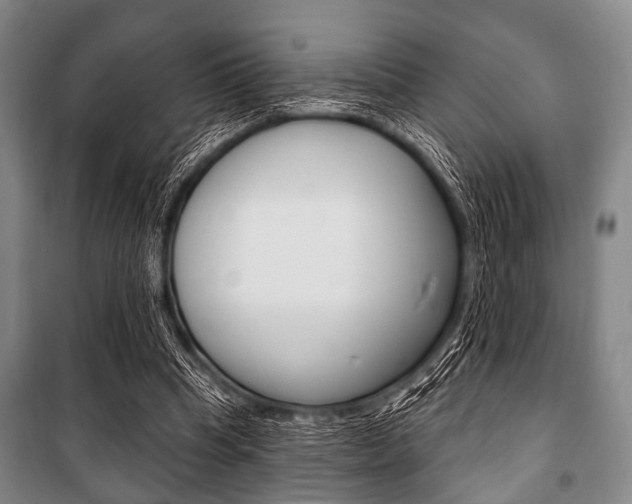 X0000101200345200806270835