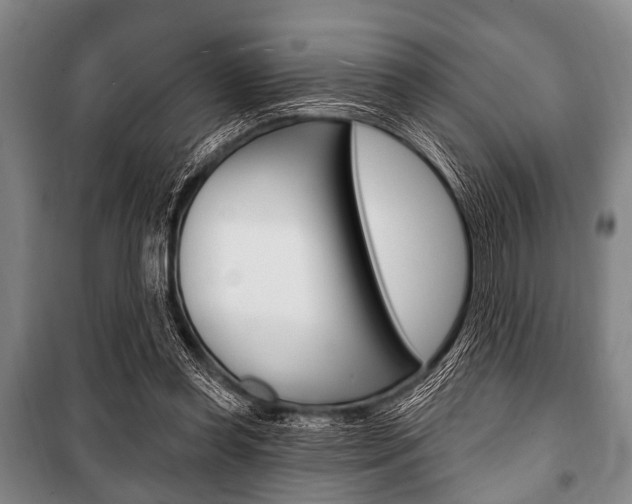 X0000101200349200806270835