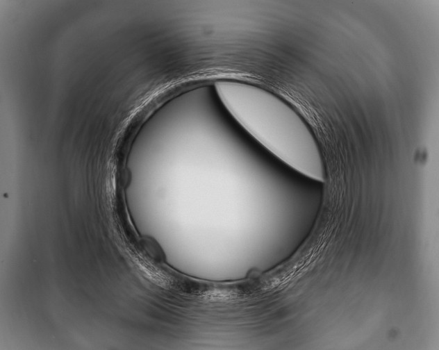 X0000101200350200806270835