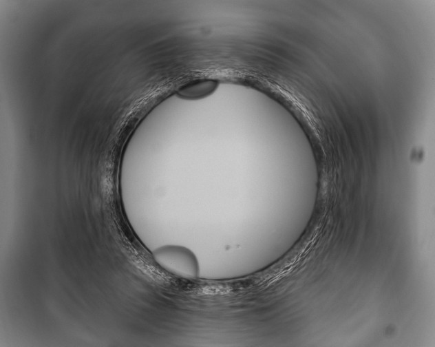 X0000101200353200806270835