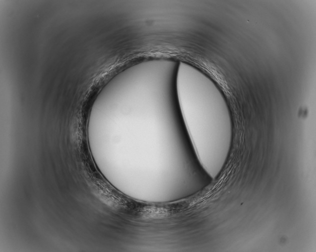 X0000101200354200806270835