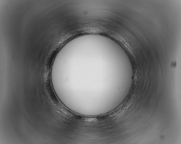 X0000101200355200806270835