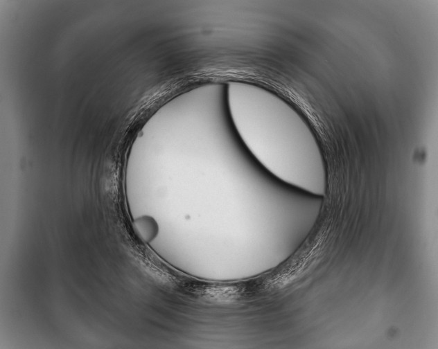 X0000101200357200806270835