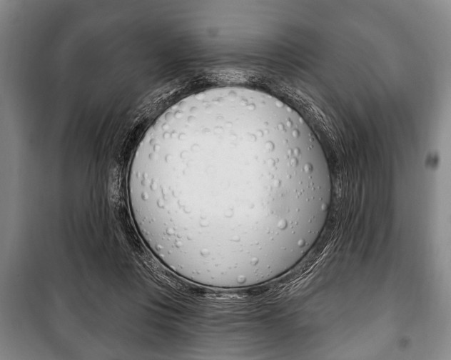 X0000101200359200806270835