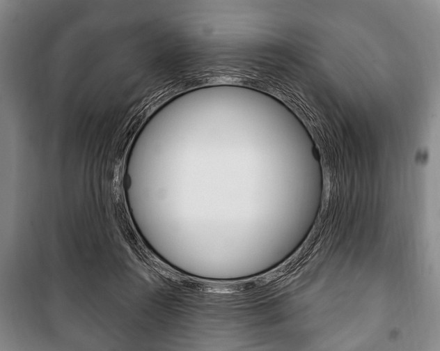 X0000101200360200806270835