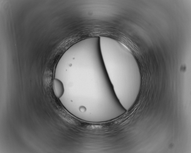 X0000101200361200806270835