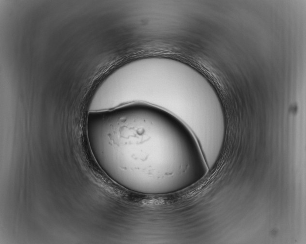 X0000101200362200806270835