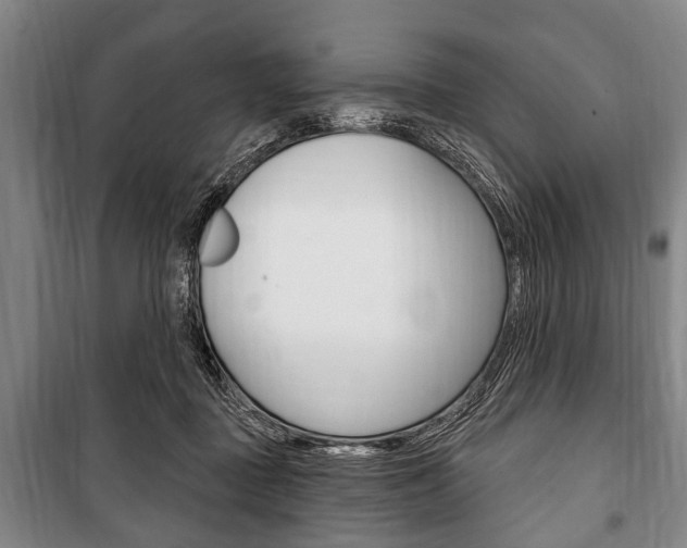 X0000101200363200806270835