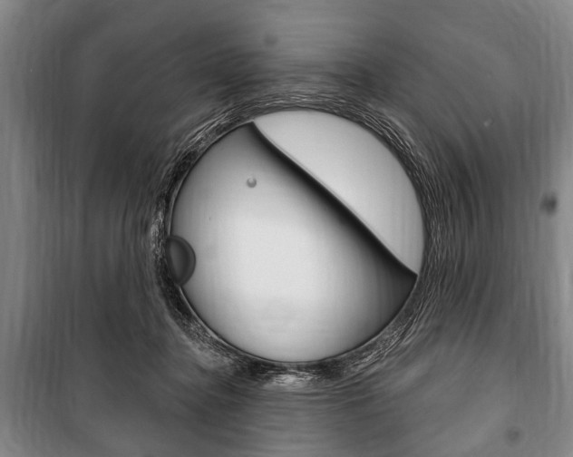 X0000101200364200806270835