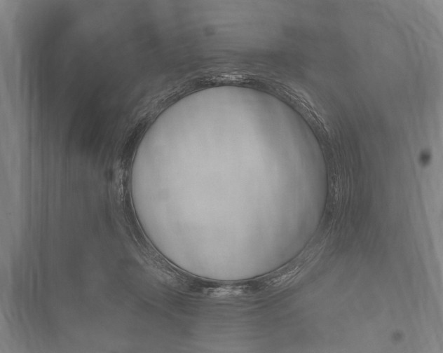 X0000101200366200806270835