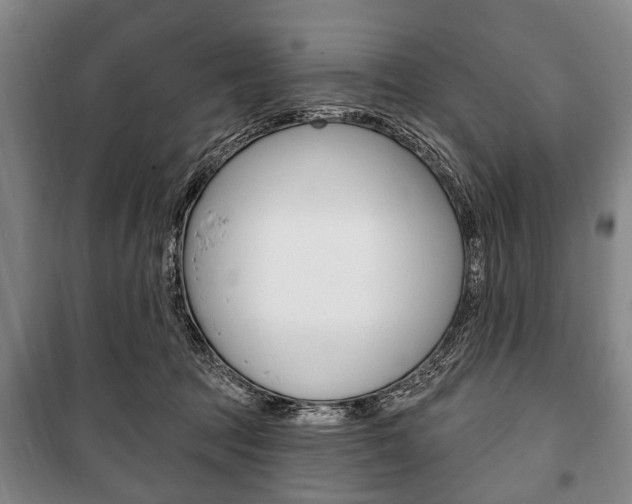 X0000101200369200806270835