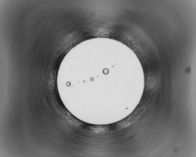 X0000101200370200806270835