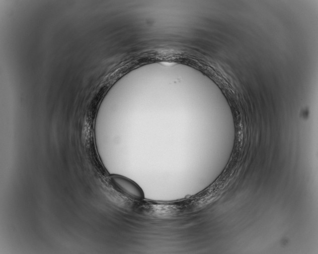 X0000101200371200806270835