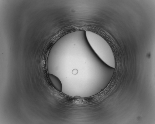 X0000101200372200806270835