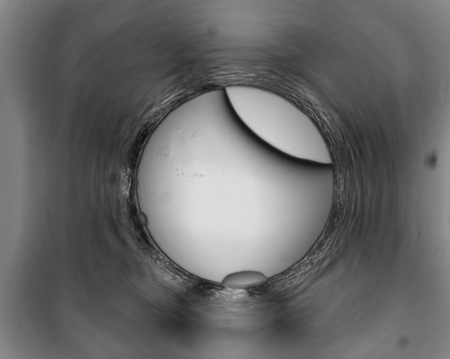 X0000101200374200806270835