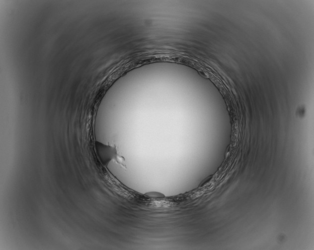 X0000101200376200806270835