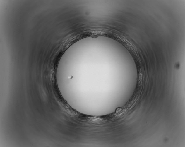 X0000101200379200806270835
