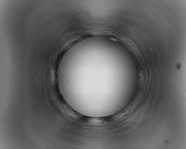 X0000101200380200806270835