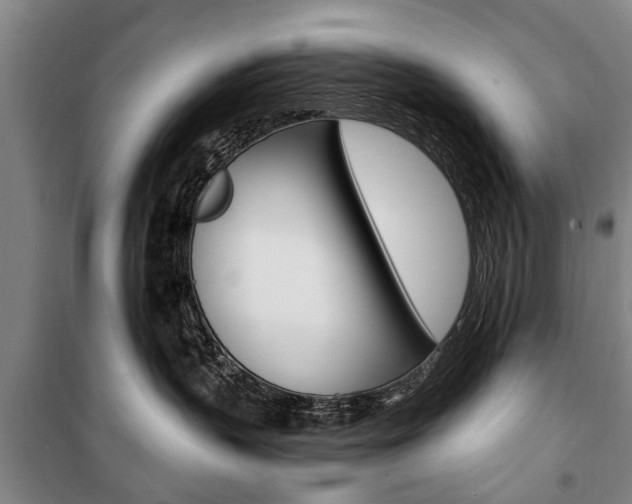 X0000101200383200806270835